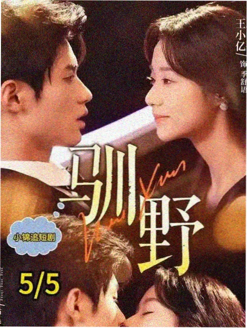 白露为霜 都市情感剧免费看